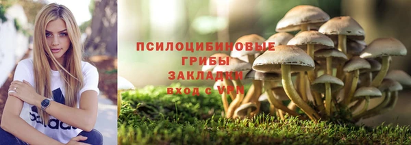 хмурый Алзамай
