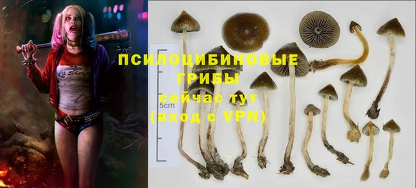 гидра Алексеевка
