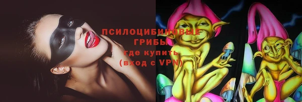 хмурый Алзамай