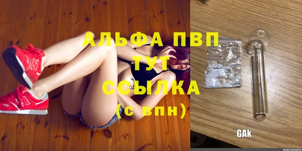 гидра Алексеевка